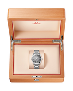 Seamaster Railmaster