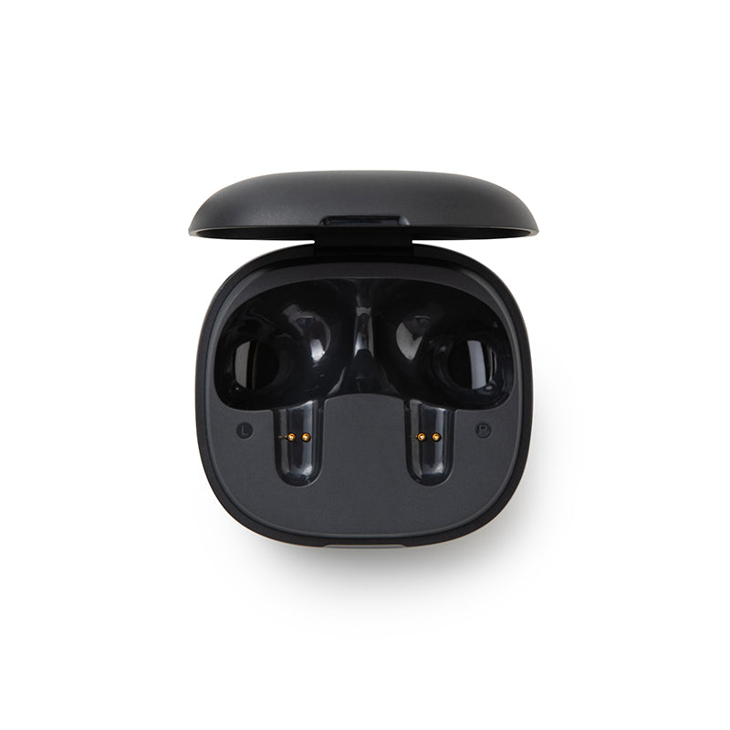 soundcore P20i Charging Case- Black
