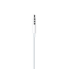 Apple EarPods (3.5MM) - Brand New