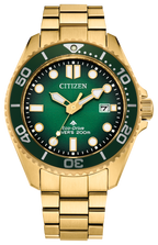 Dive 3