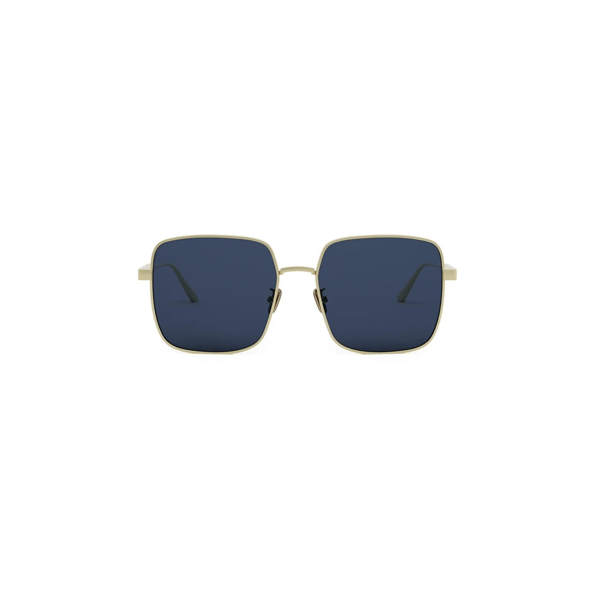 Dior DIORCANNAGE S1U CD40172U