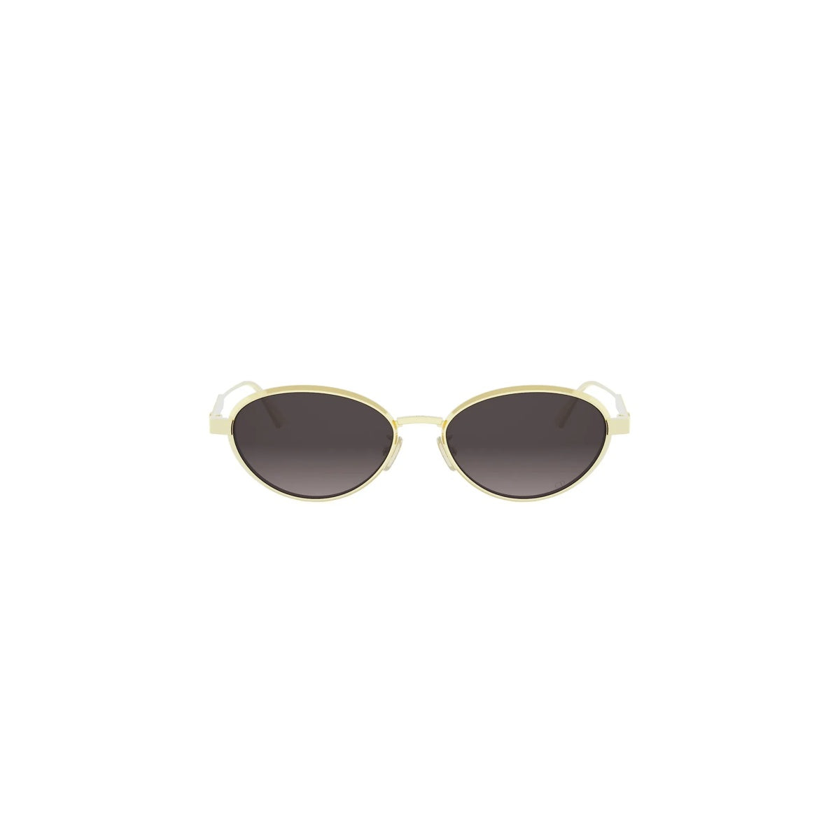 Dior DIORCANNAGE R1U CD40209U