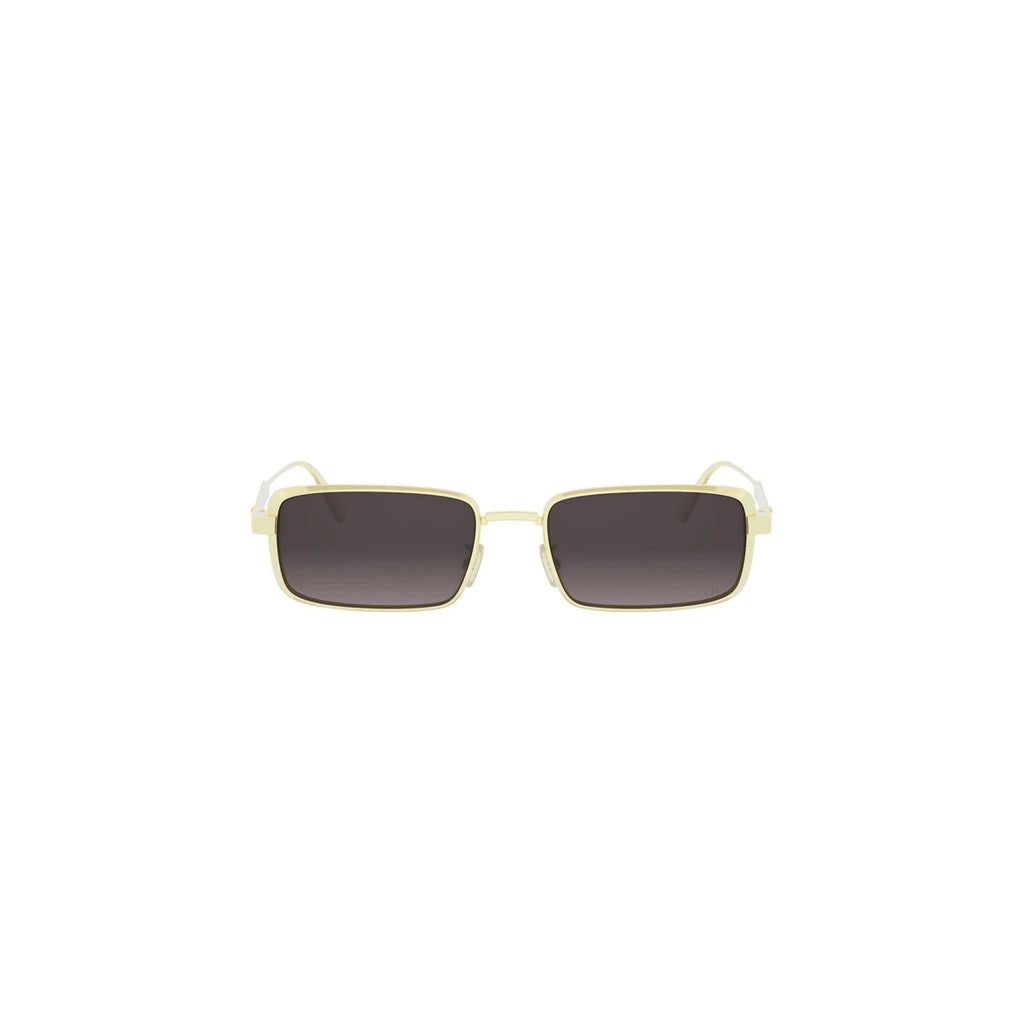 Dior DIORCANNAGE S2U CD40210U