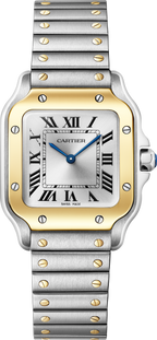 Santos De Cartier Watch | 27mm, Stainless Steel, Silver Dial