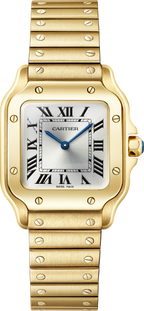 Santos De Cartier Small Model