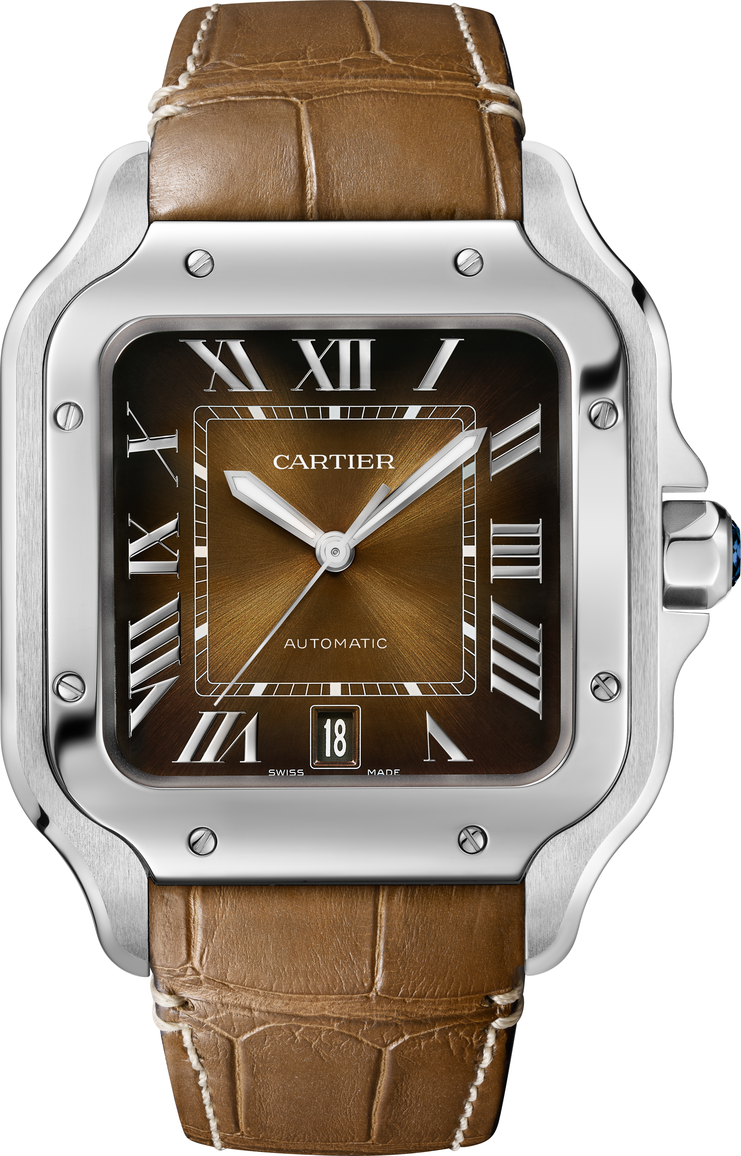 Santos de Cartier Large Model