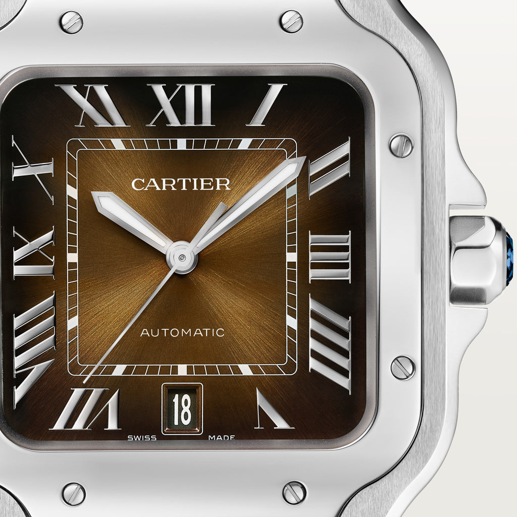 Santos de Cartier Large Model