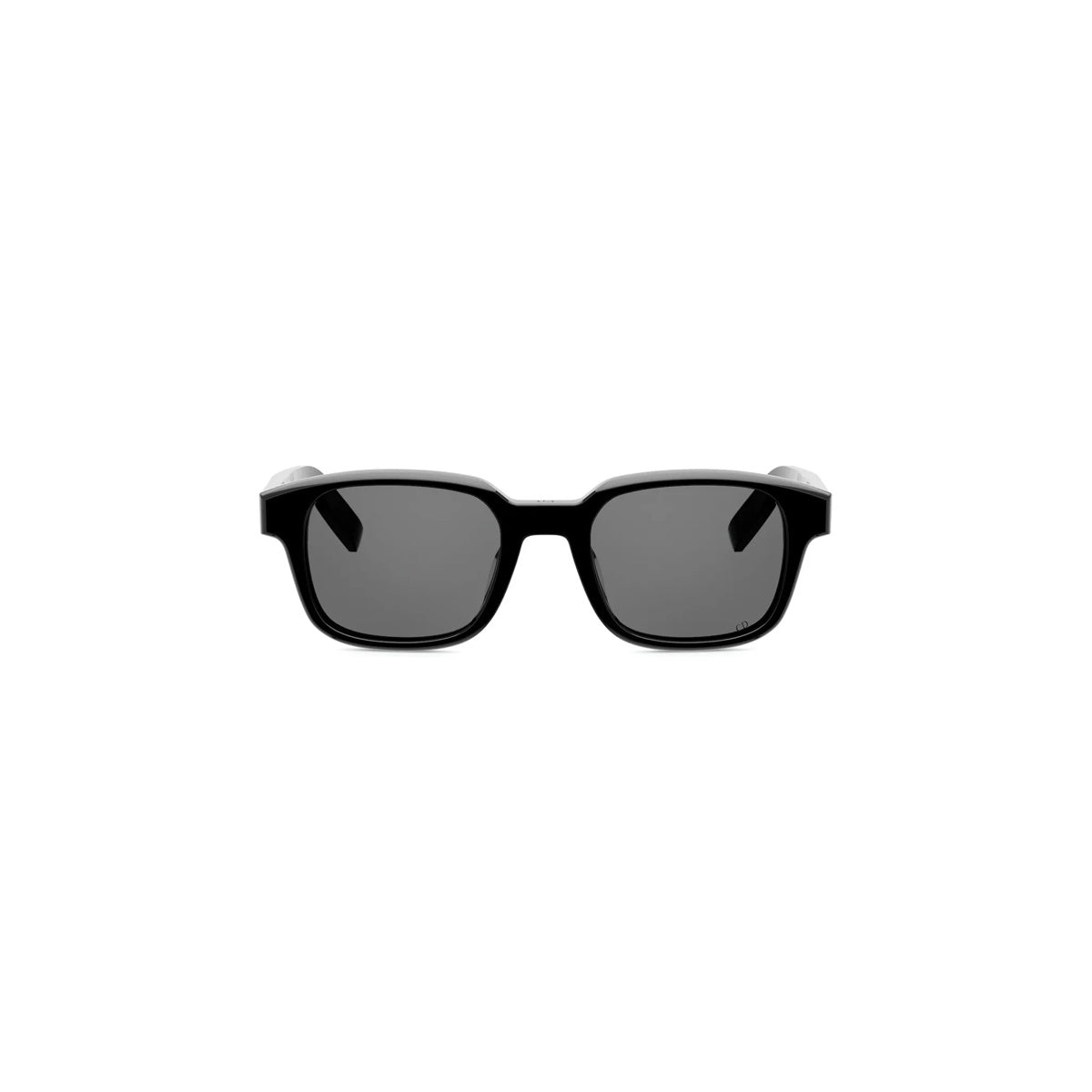 Dior CD ICON S4I DM40172I