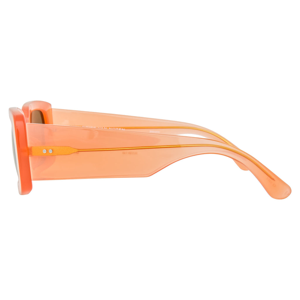 Dries Van Noten Ladies Rectangular Brown Sunglasses
