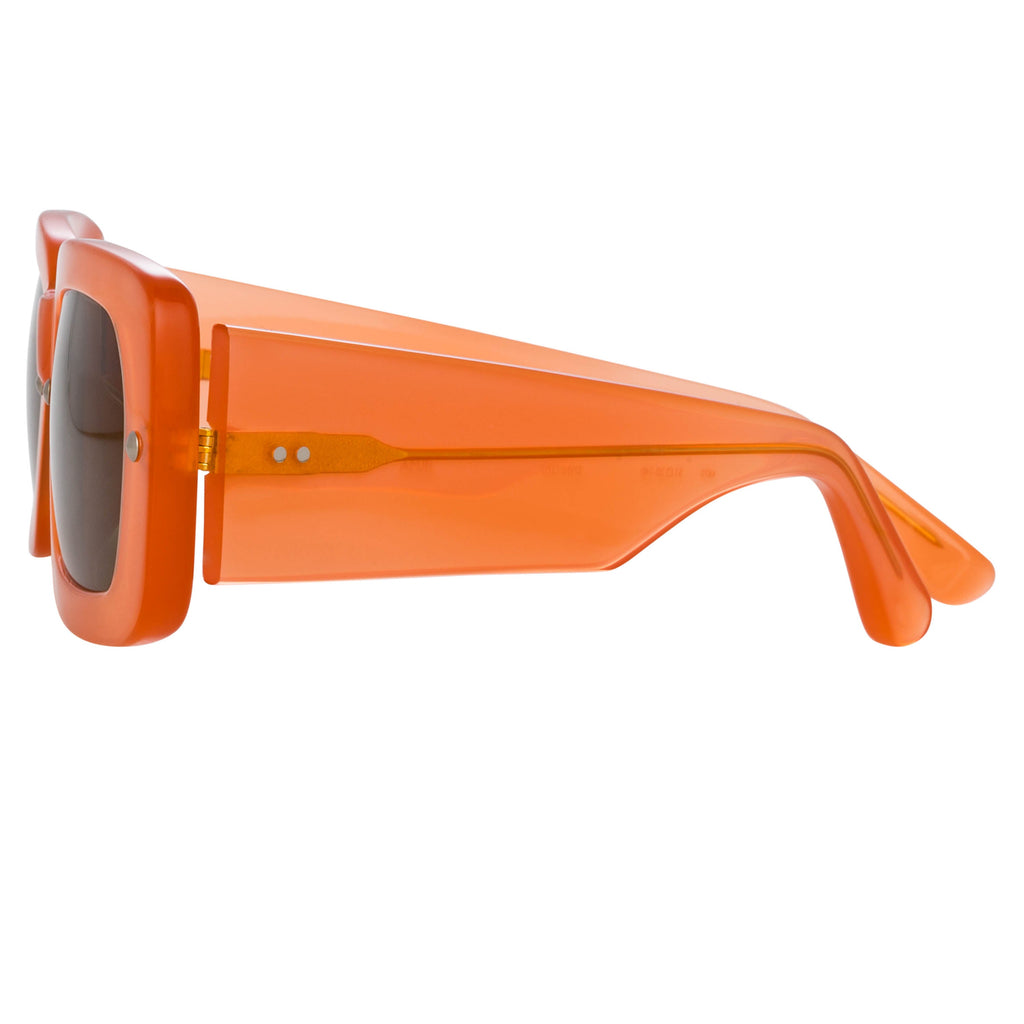 Dries Van Noten Ladies Rectangular Brown Sunglasses