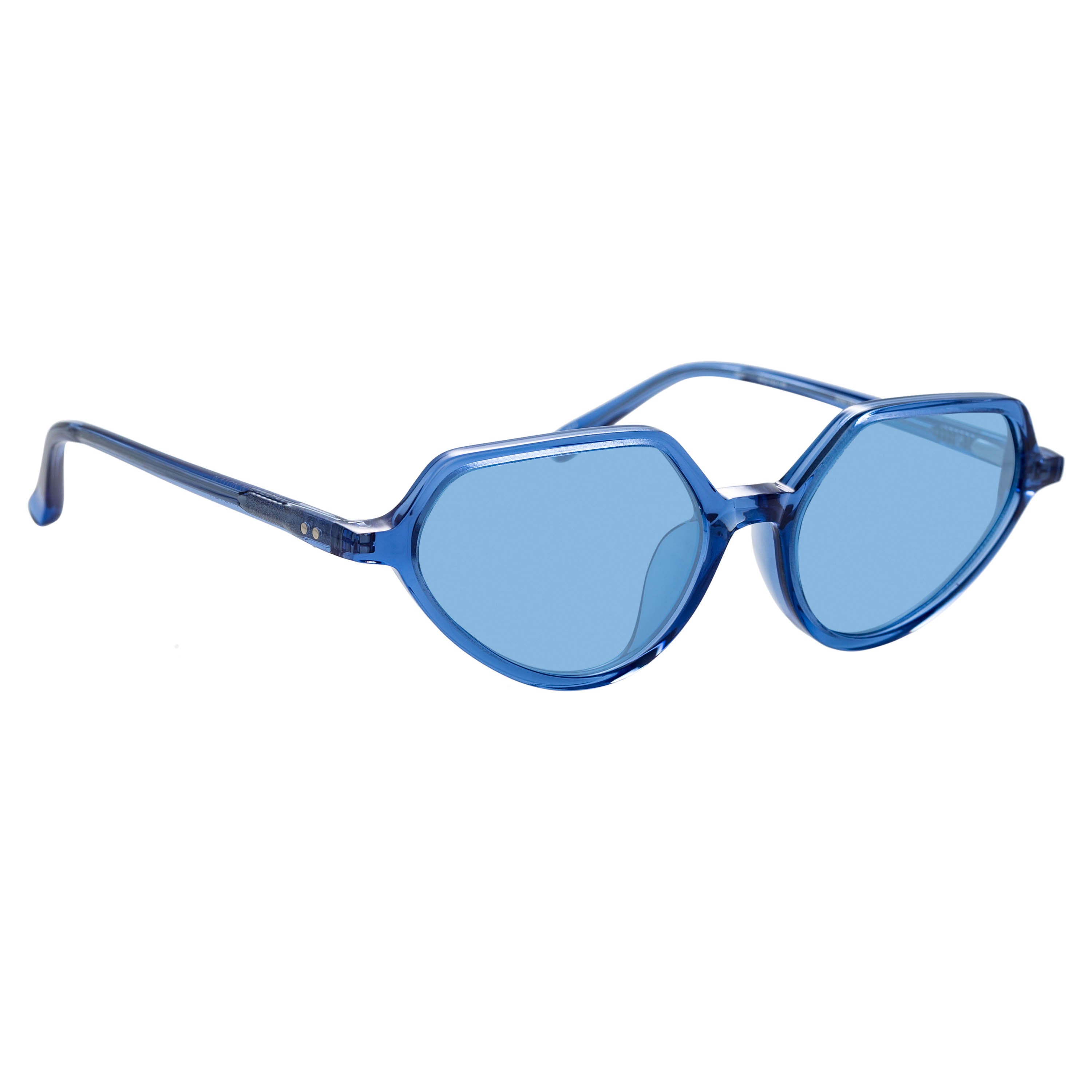 Dries Van Noten Ladies Cat Eye Blue Sunglasses