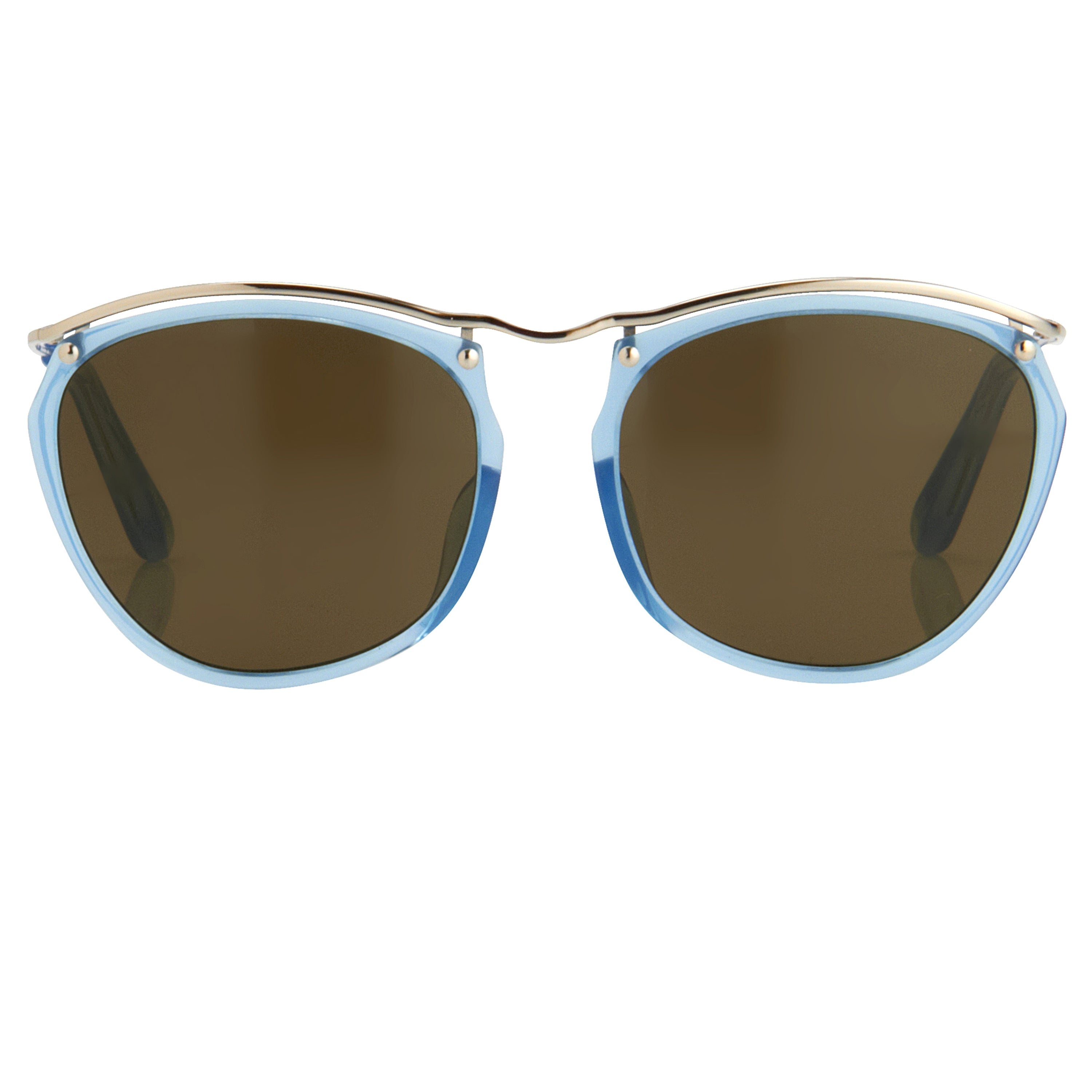 Dries Van Noten Ladies Round Brown Sunglasses
