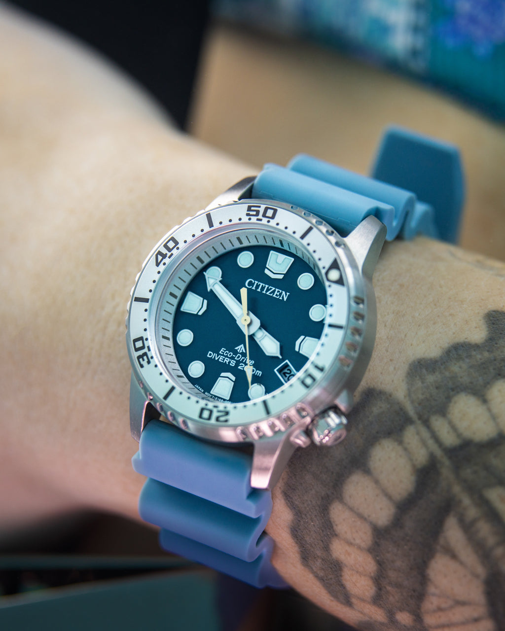 Dive 4