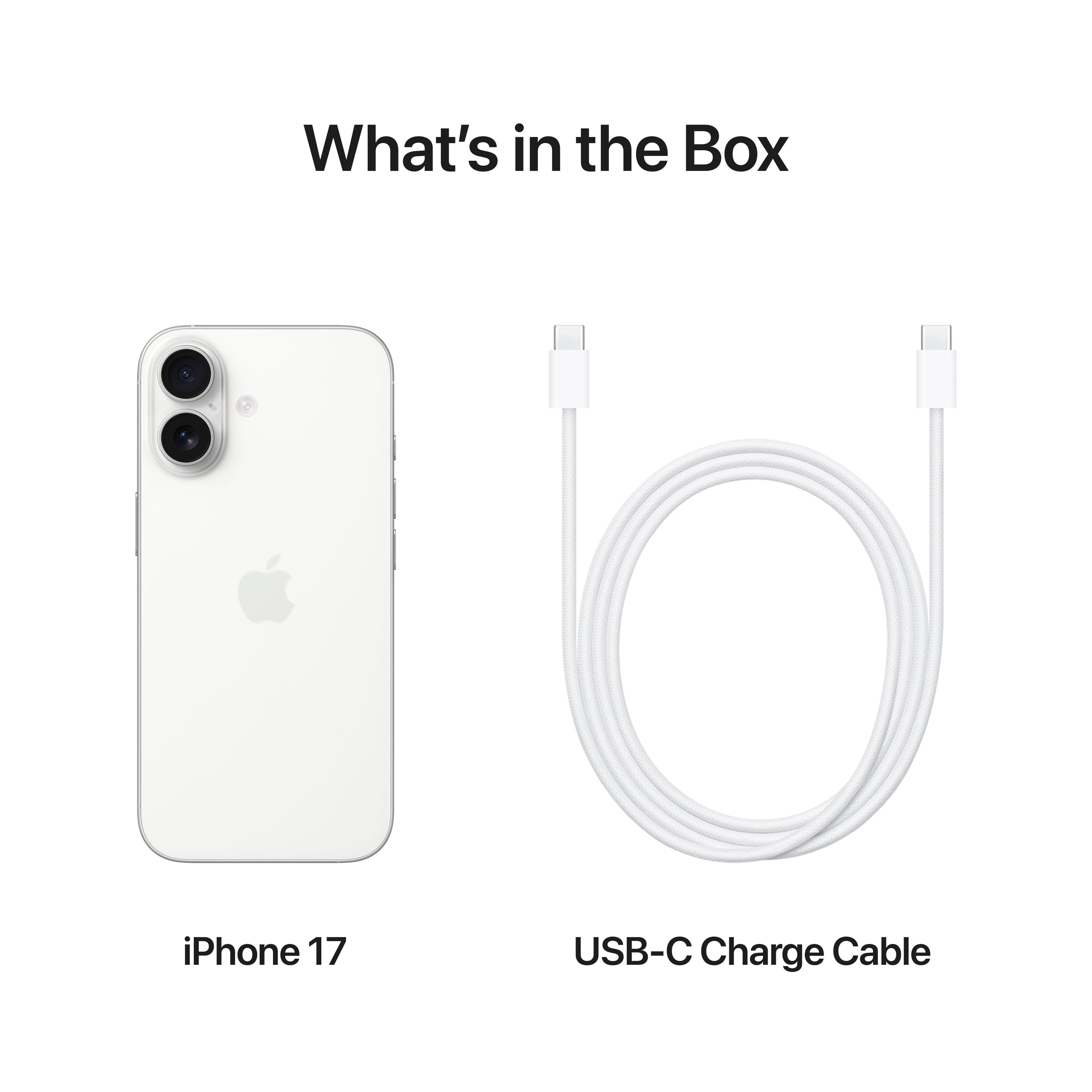 iPhone 17