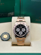 Rolex Everose Gold Cosmograph Daytona Watch - Fixed Bezel - Black And Sundust Index Dial