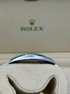 Rolex Steel and White Gold Rolesor Datejust 41  - Slate Green Roman Dial - Oyster Bracelet - 126334 slgro