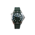 Omega - Seamaster - 21032422010001 - Green