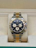 Rolex Yellow Rolesor  Daytona  - Fixed Bezel - Black And Golden Diamond Dial - Oyster Bracelet - 126503 bkchdo