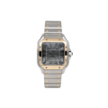 Cartier - Santos - Slate Dial - W2SA0030 - 2025