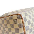 Louis Vuitton 'Speedy 25' Handbag