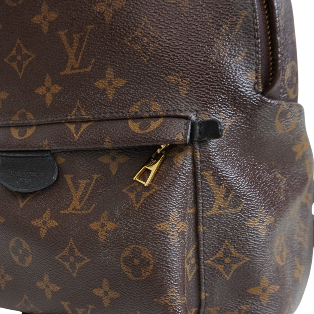 Louis Vuitton 'Palm Springs' Backpack
