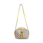 Louis Vuitton 'Saintonge' Bag