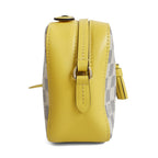 Louis Vuitton 'Saintonge' Bag