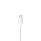 EarPods