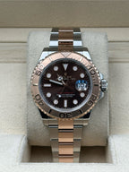 Rolex Steel and Everose Gold Yacht-Master 40  - Chocolate Dial - 3235 Movement - 126621 cho