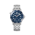Omega Seamaster Diver 300M 210.90.42.20.01.001