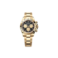 Rolex - Cosmograph Daytona - Black & Champagne Dial - 126508 - 2025