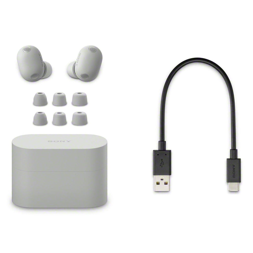 Sony WF-1000XM6 Truly Wireless Noise Cancelling Earbuds (Silver)