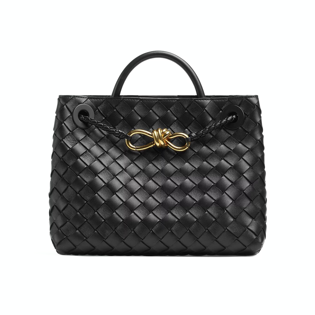 Bottega Veneta 'Small Andiamo' Handbag