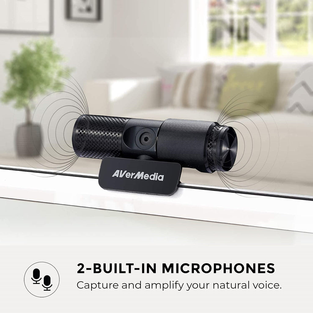 CAM 313 Webcam 2 Megapixel USB 2.0