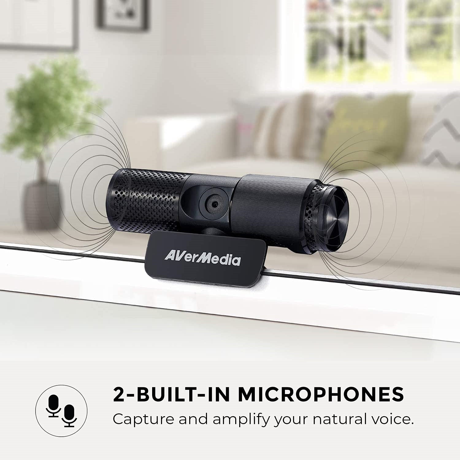 CAM 313 Webcam 2 Megapixel USB 2.0