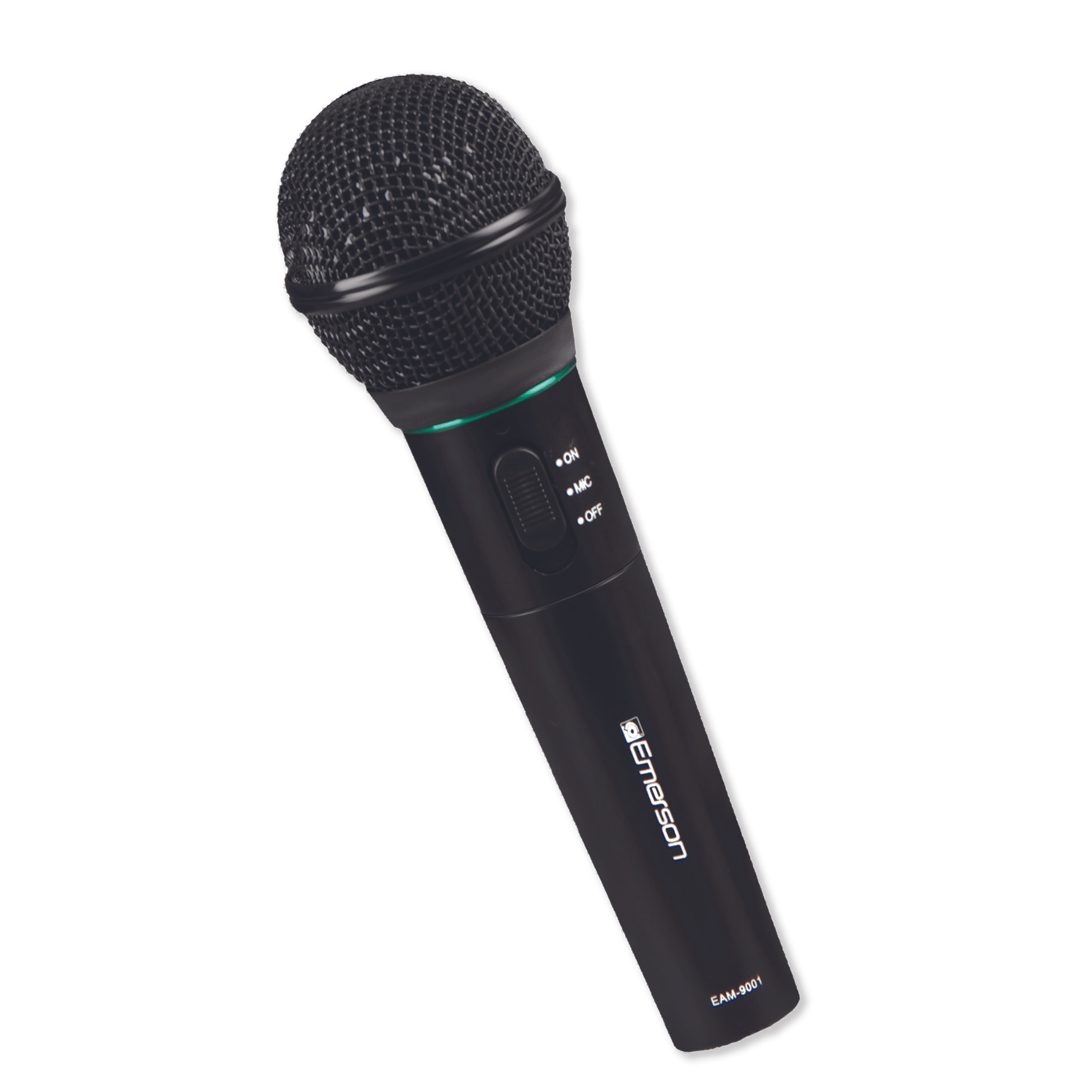 Professional Microphone Kit with Wireless Receiver