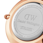 Daniel Wellington Ladies Petite Dover White Watch