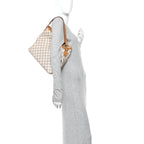 Damier Azur Delightful PM