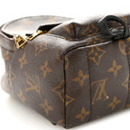 Monogram Palm Springs Backpack Mini