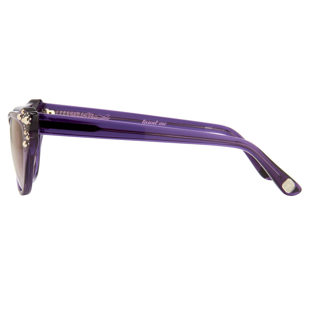 Agent Provocateur Sunglasses Cat Eye Purple and Brown