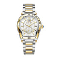 Aigner Trapani Men's Two-Tone Silver Yellow Gold Stainless Steel Watch