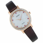 Seiko Ladies Brown Solar Watch