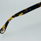Ann Demeulemeester Ladies Sunglasses Cat Eye Tortoise Shell and Brown