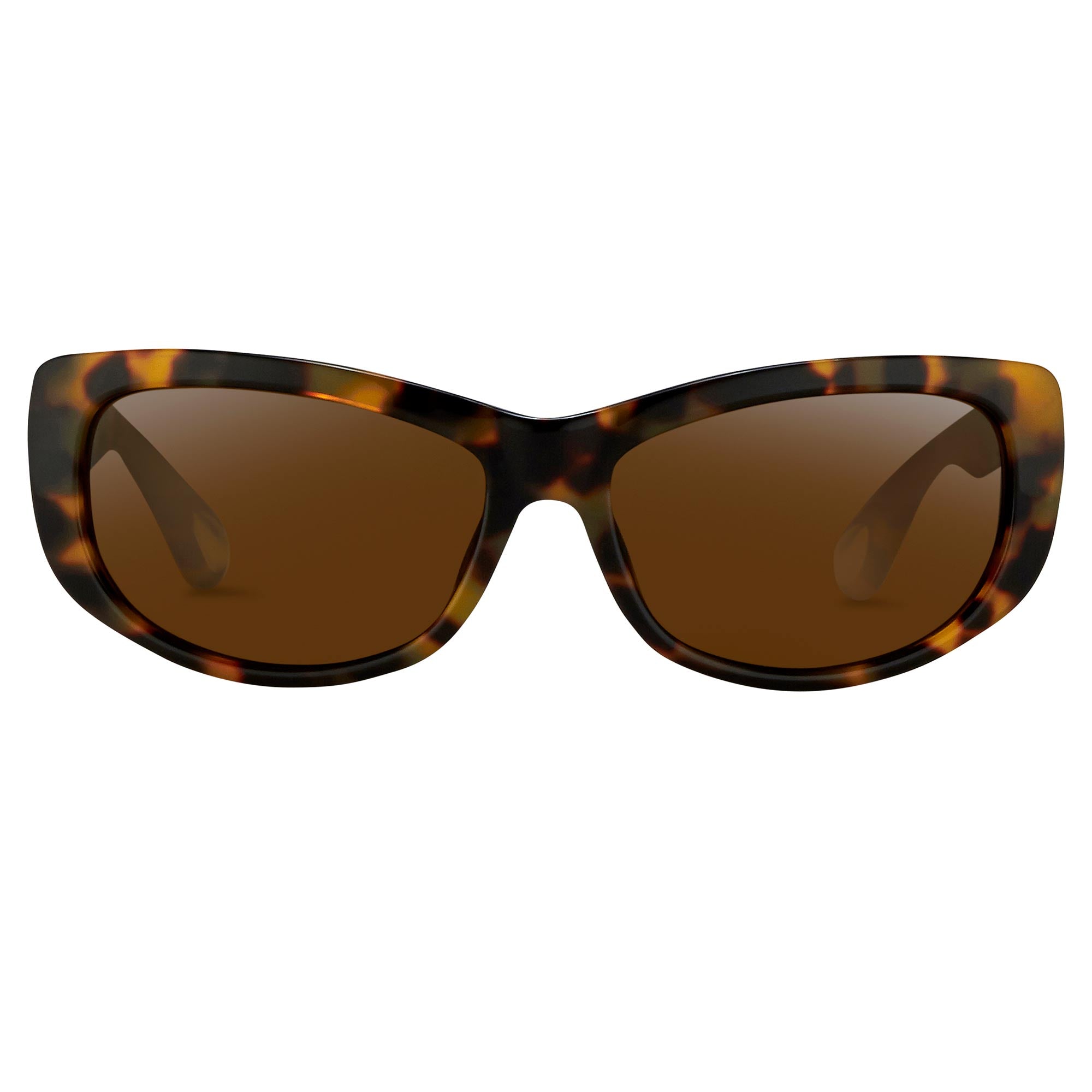 Ann Demeulemeester Ladies Sunglasses Cat Eye Tortoise Shell and Brown
