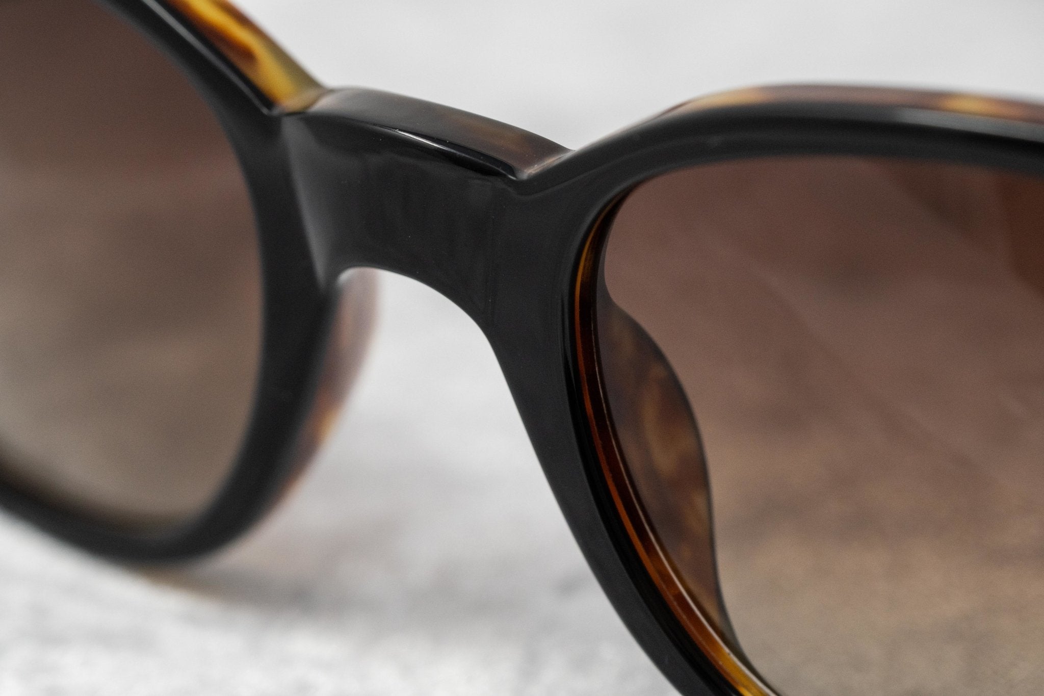Ann Demeulemeester Ladies Sunglasses Oval Black and Brown Graduated