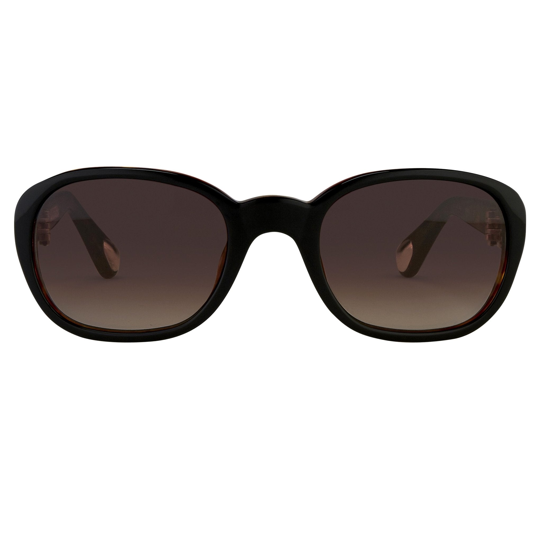Ann Demeulemeester Ladies Sunglasses Oval Black and Brown Graduated