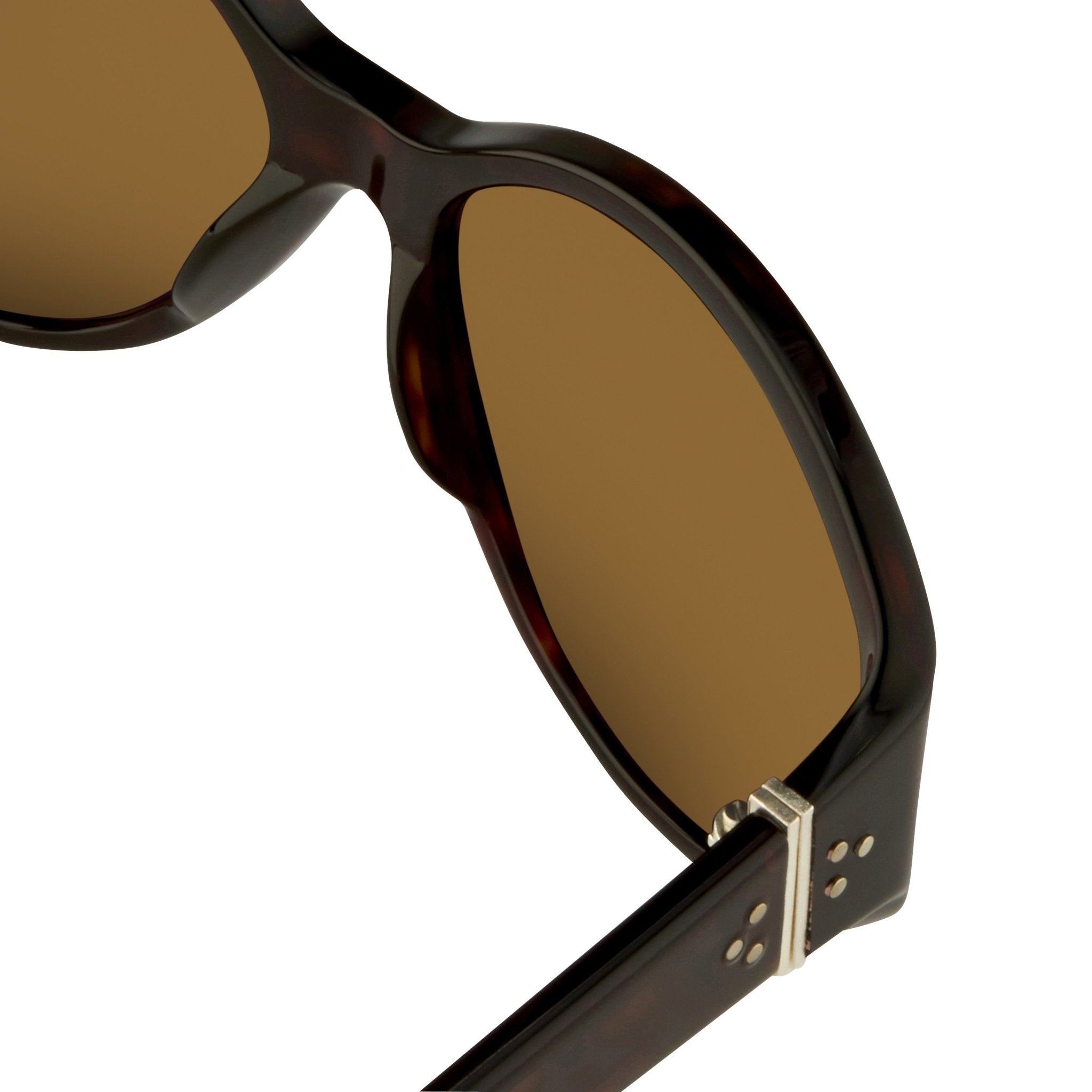 Ann Demeulemeester Ladies Sunglasses Oversized Tortoise Shell and Brown