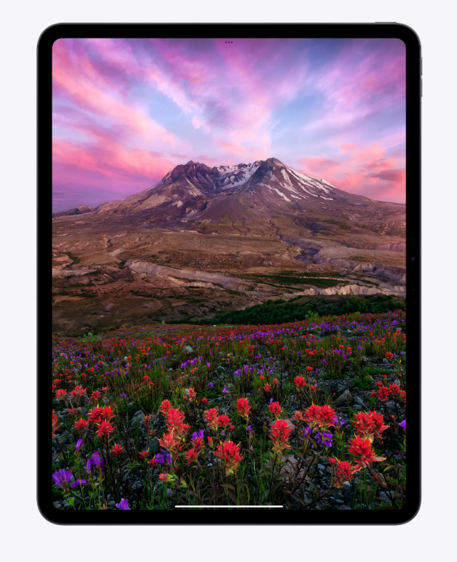 Apple iPad Pro 11-inch M4 — 256GB Wi-Fi Space Black