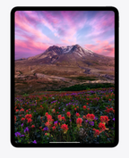 Apple iPad Pro 11-inch M4 — 256GB Wi-Fi Space Black