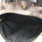 Monogram Palm Springs Backpack Mini